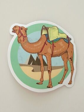 10/$10 Camel Sticker
